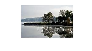 Reflections Photography