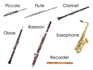 woodwinds