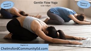 Gentle Flow Yoga