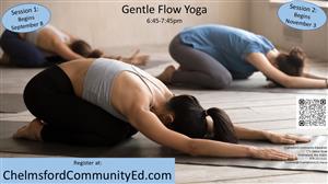 Gentle Flow Yoga