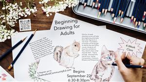 Beginning Drawing