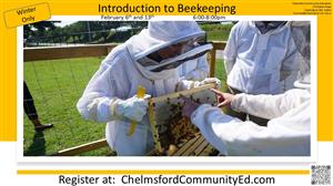 Beekeeping